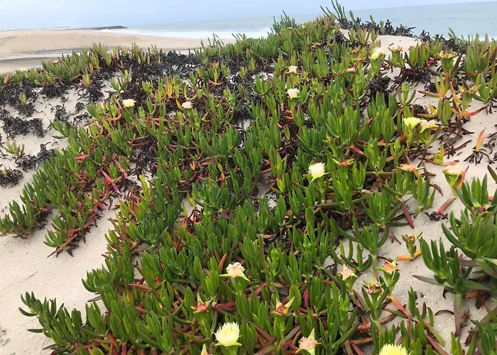 Beachfront Costa Nova Villa - 3 Bedroom Apartment * Gafanha da Encarnacao